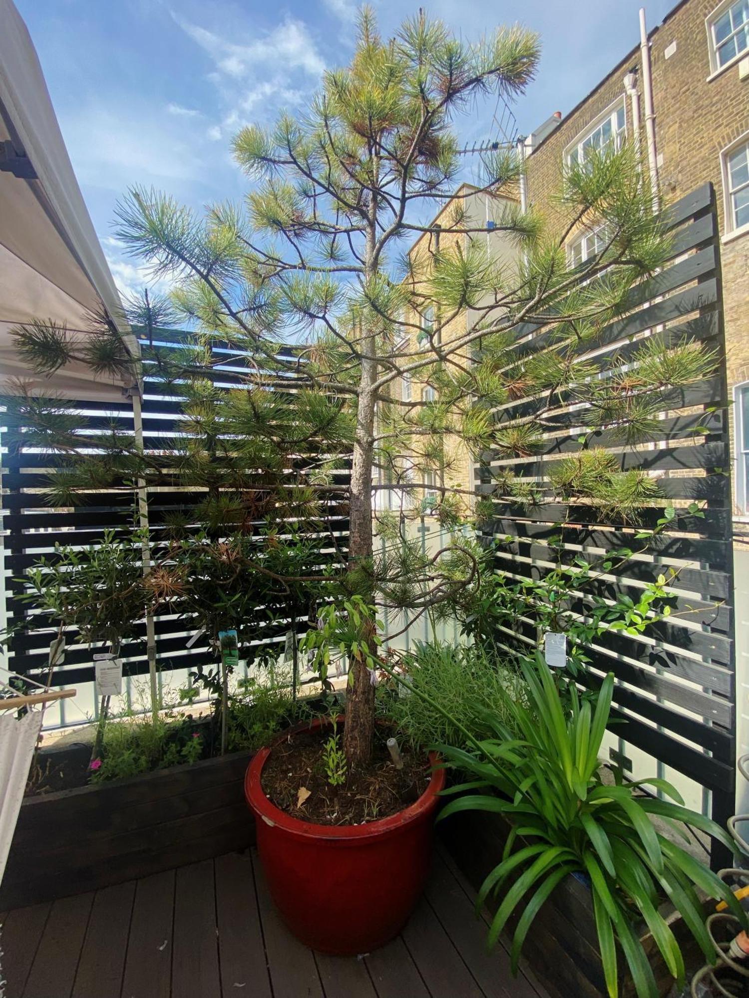 Luxury Belgrave Square Private Mews Townhouse Villa Londra Exterior foto